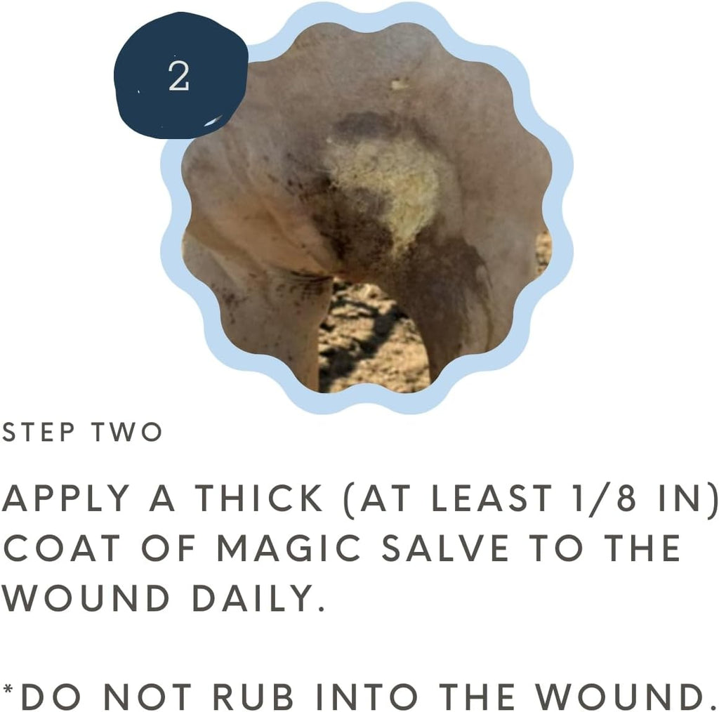 Applying Bevs Magic Salve to animal wound