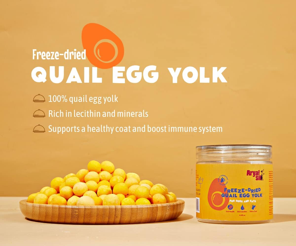 Premium freeze dried quail egg yolk round treats outside the jar