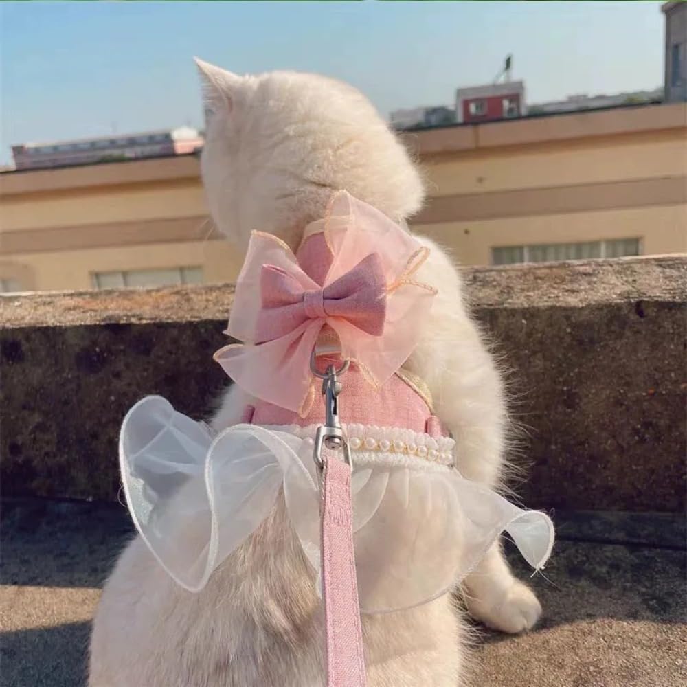 Printify cat harness packaging and set contents