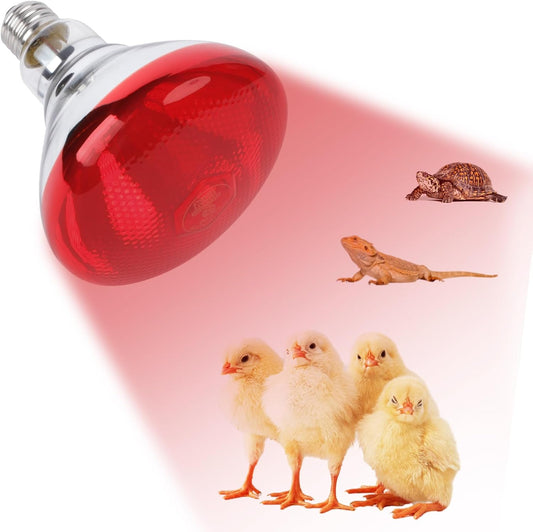 Generico REPTI HOME 250W red heat lamp bulb front view for livestock warming.