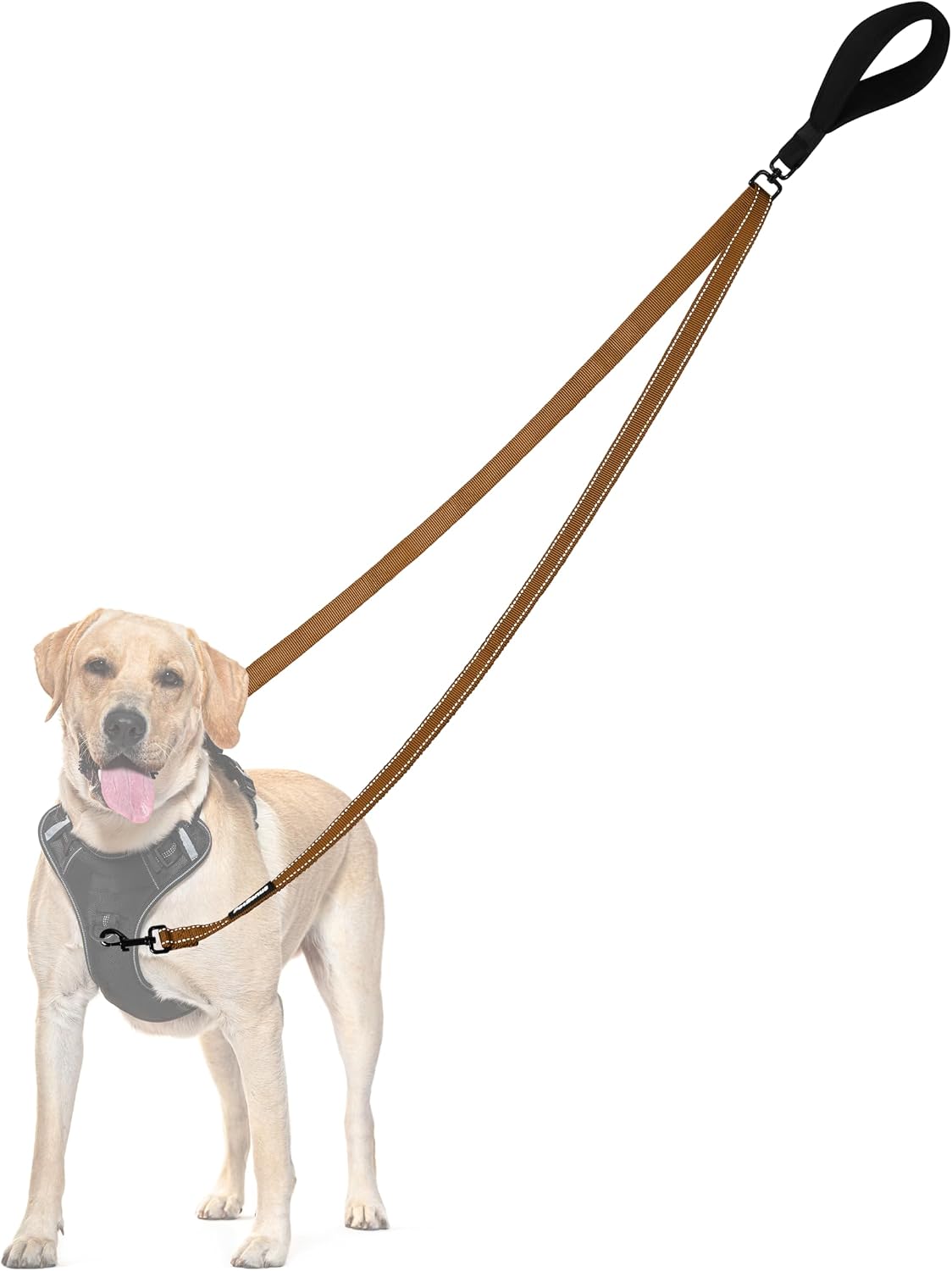 PetBonus black anti pull training lead packaging display