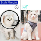 Kzrfojy premium cat clothing for wound protection and skin disease management