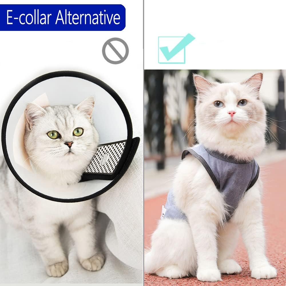 Kzrfojy premium cat clothing for wound protection and skin disease management