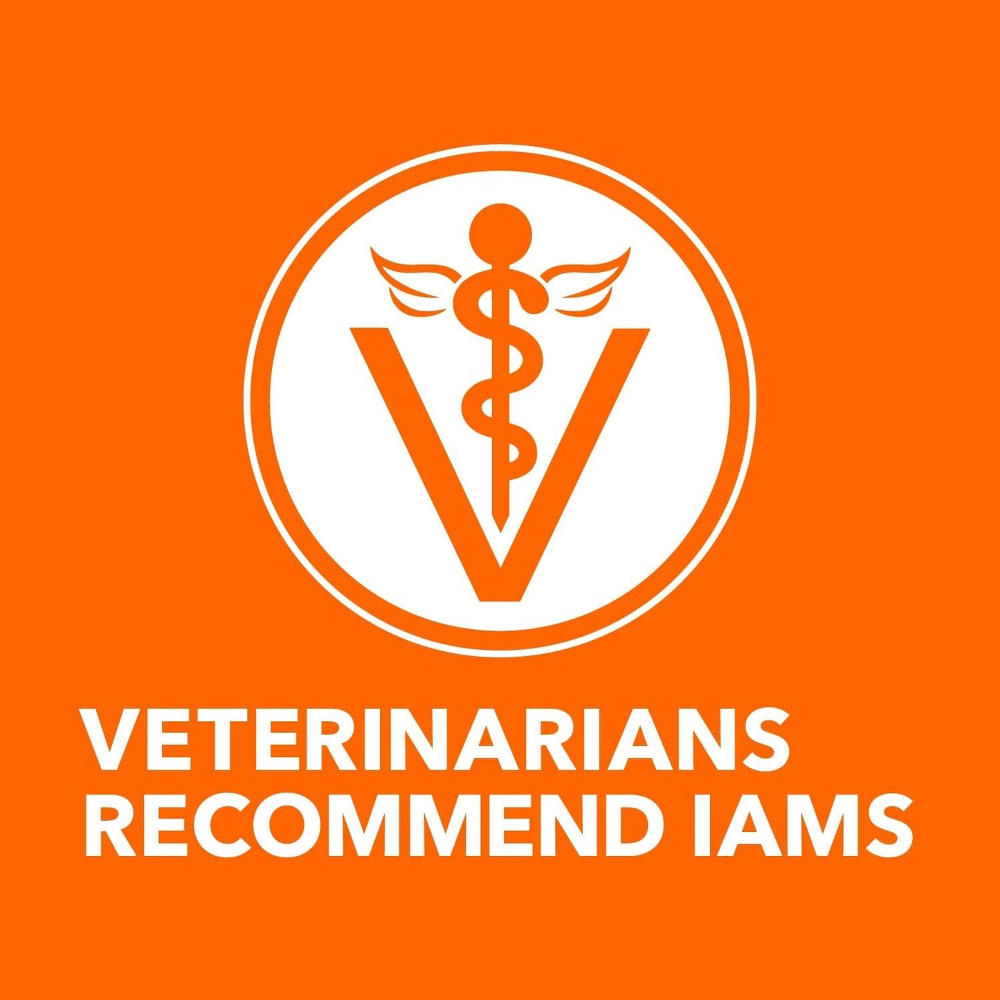 Pack of twenty four twin pack trays IAMS perfect portions sensitive cat food.