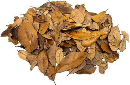 XYZReptiles Premium Live Oak Leaf Litter Isopod Substrate front view of one gallon packaging