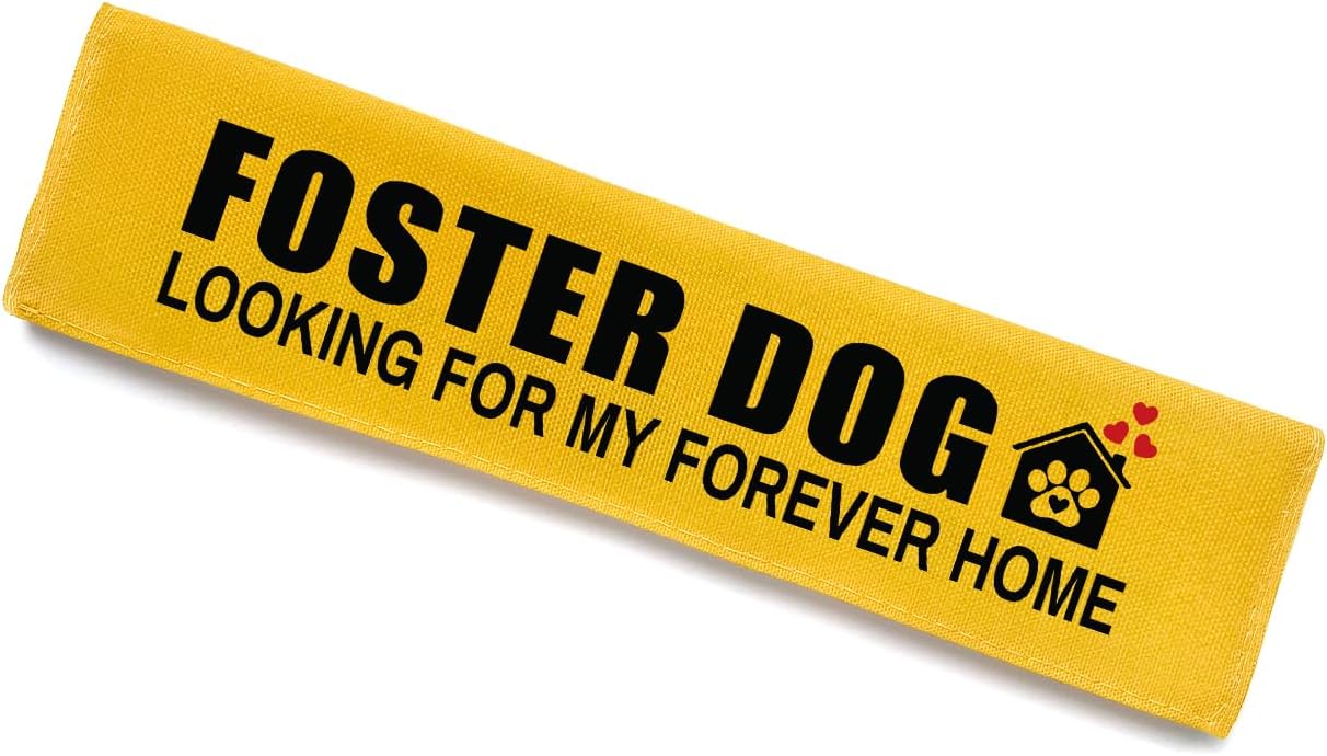 KISJO yellow pet leash wrap hanging tag view for rescue dogs