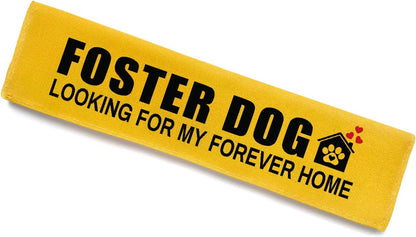 KISJO yellow pet leash wrap hanging tag view for rescue dogs