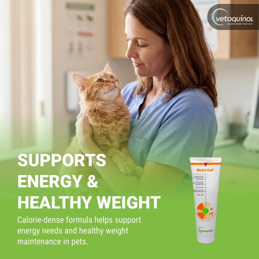 Pet owner applying Vetoquinol Nutri-Cal gel to a dog