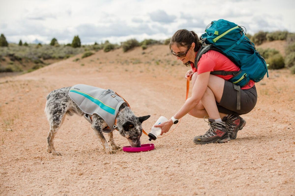 Ruffwear Camp Flyer dog toy packed inside a hiking backpack