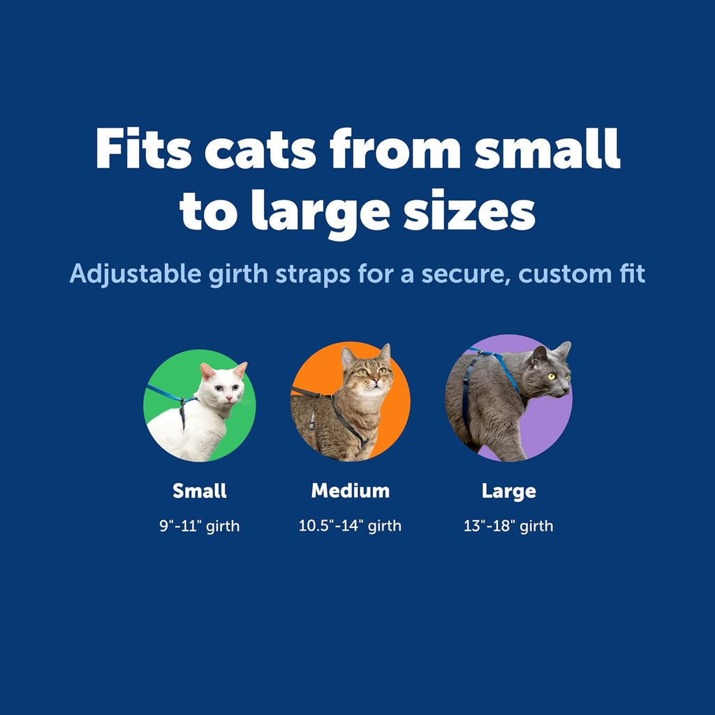 Side profile of the PetSafe Come With Me Kitty Harness and Bungee Leash set