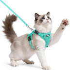 rabbitgoo Easy-on Cat Harness and Leash with Neck Buckle, S, Black | Escape Proof, No Over-the-head, Lockable Adjusters, 3 Secure Buckles, Soft Air Mesh, Reflective, for Average Adult Cats Walks - Image 12