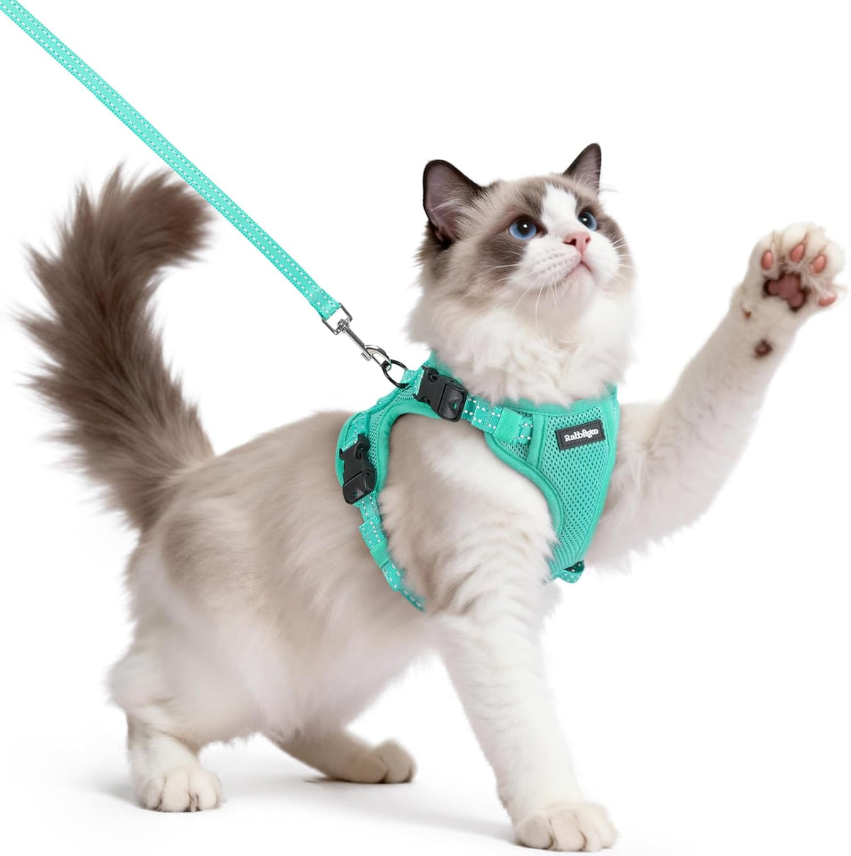 rabbitgoo Easy-on Cat Harness and Leash with Neck Buckle, S, Black | Escape Proof, No Over-the-head, Lockable Adjusters, 3 Secure Buckles, Soft Air Mesh, Reflective, for Average Adult Cats Walks - Image 12