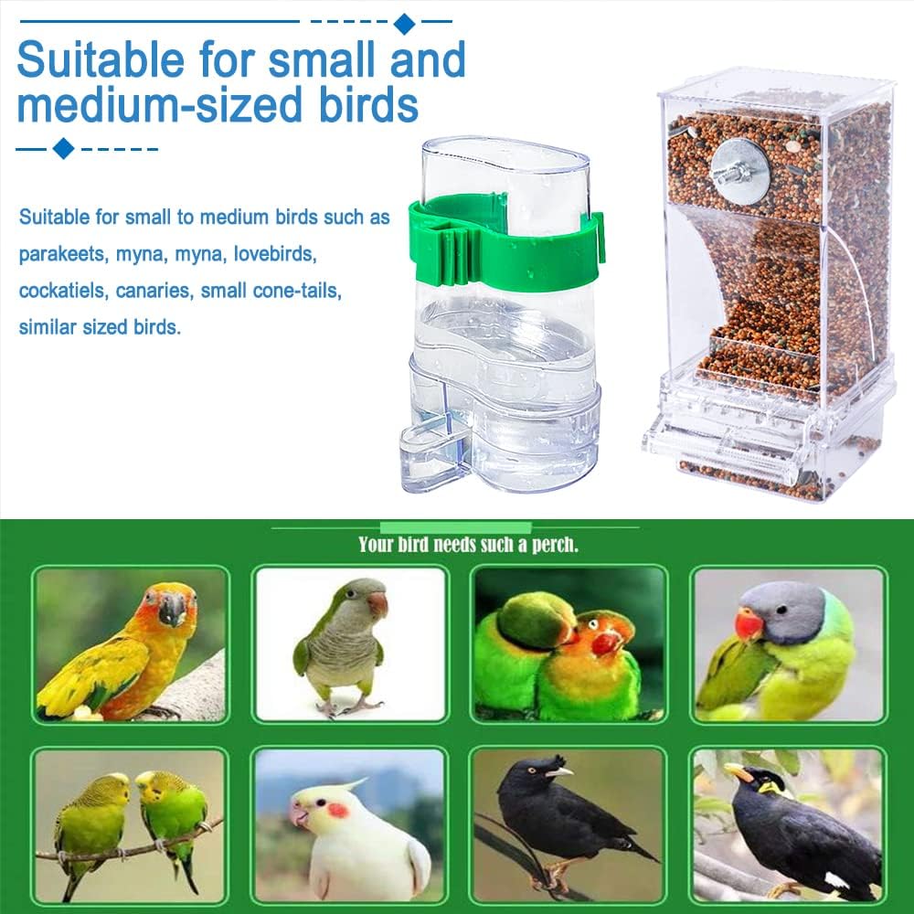 Exterior cage mounting setup for no waste bird food container