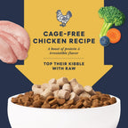 Close up of Instinct Raw Boost freeze dried chicken pieces