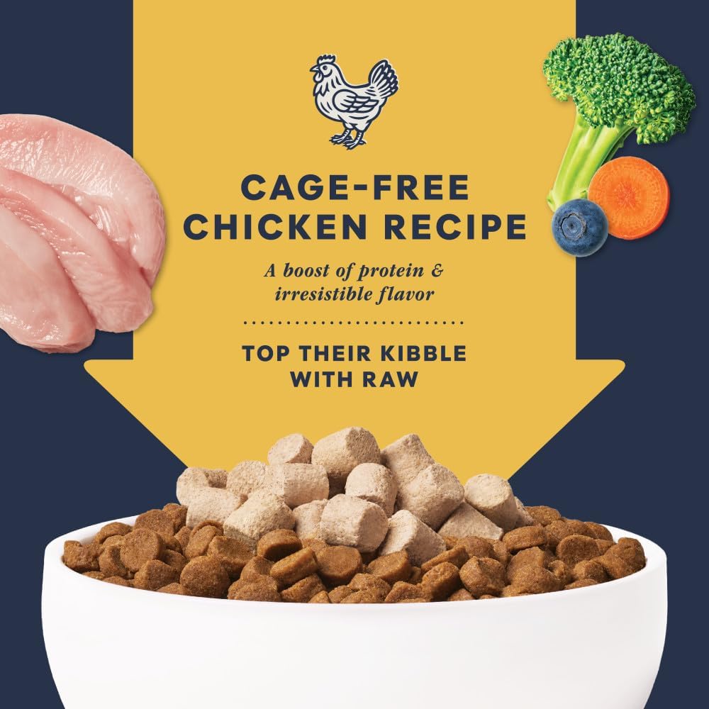 Close up of Instinct Raw Boost freeze dried chicken pieces