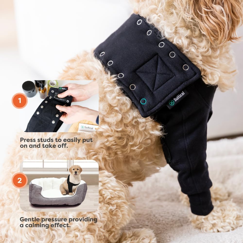 Black canine medical recovery garment for large breeds