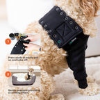 Black canine medical recovery garment for large breeds
