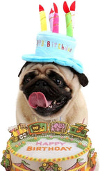 Secfanya blue birthday accessory for pet photo shoot