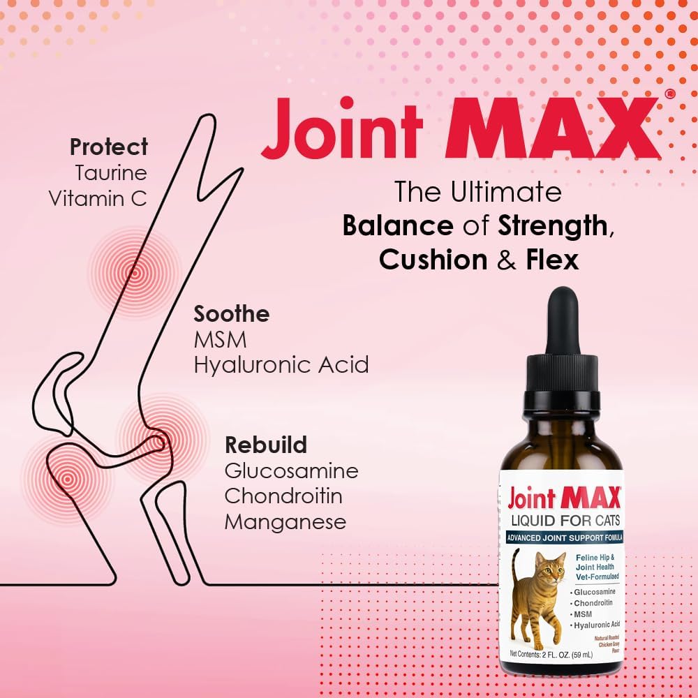 Close up of Joint Max liquid for cats chicken flavor bottle
