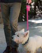 Taglory retractable dog leash showing full 16ft extension