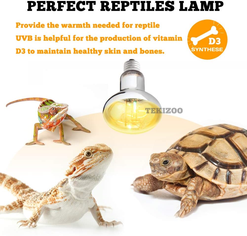 Tekizoo self ballasted heat lamp installed in a ceramic socket over a terrarium