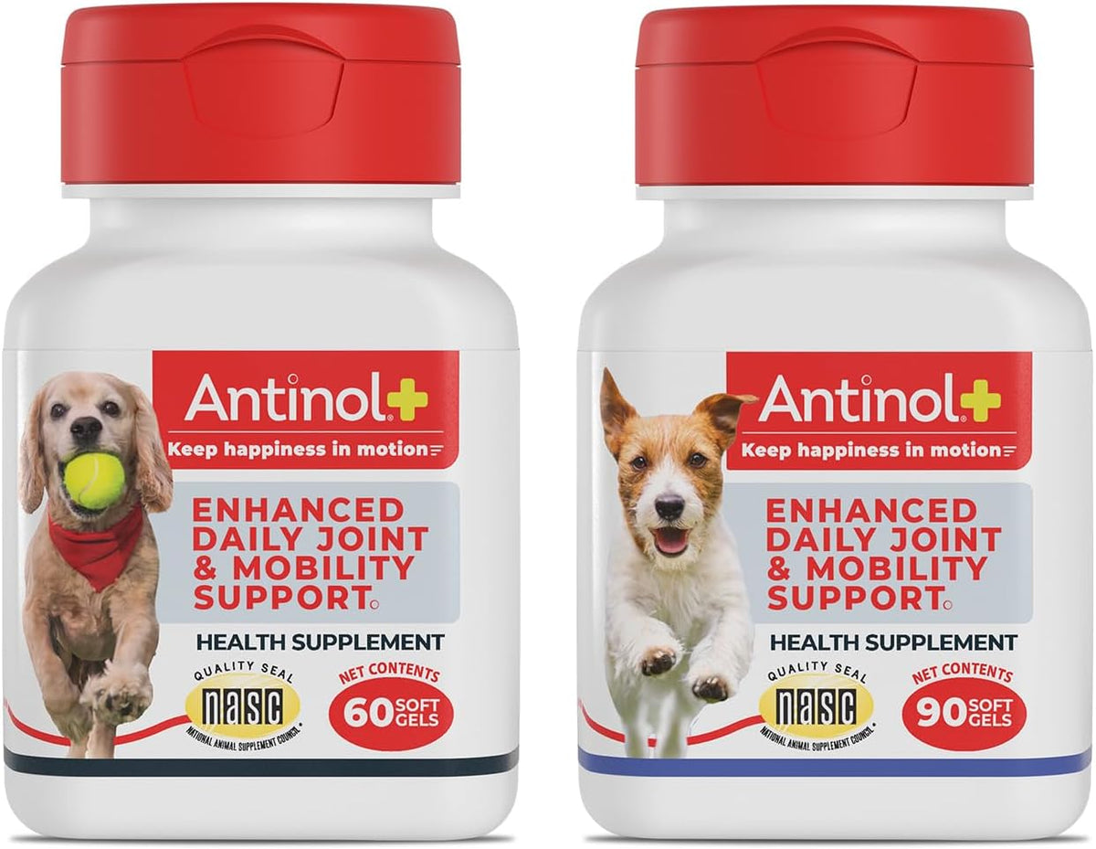 Antinol Plus, Mobility, Hip, and Joint Supplement for Dogs, Green-Lipped Mussels and Krill Oil - Dog Joint Supplement, Better and Faster Than Glucosamine and Chondroitin, 120 Soft Gels - Image 11