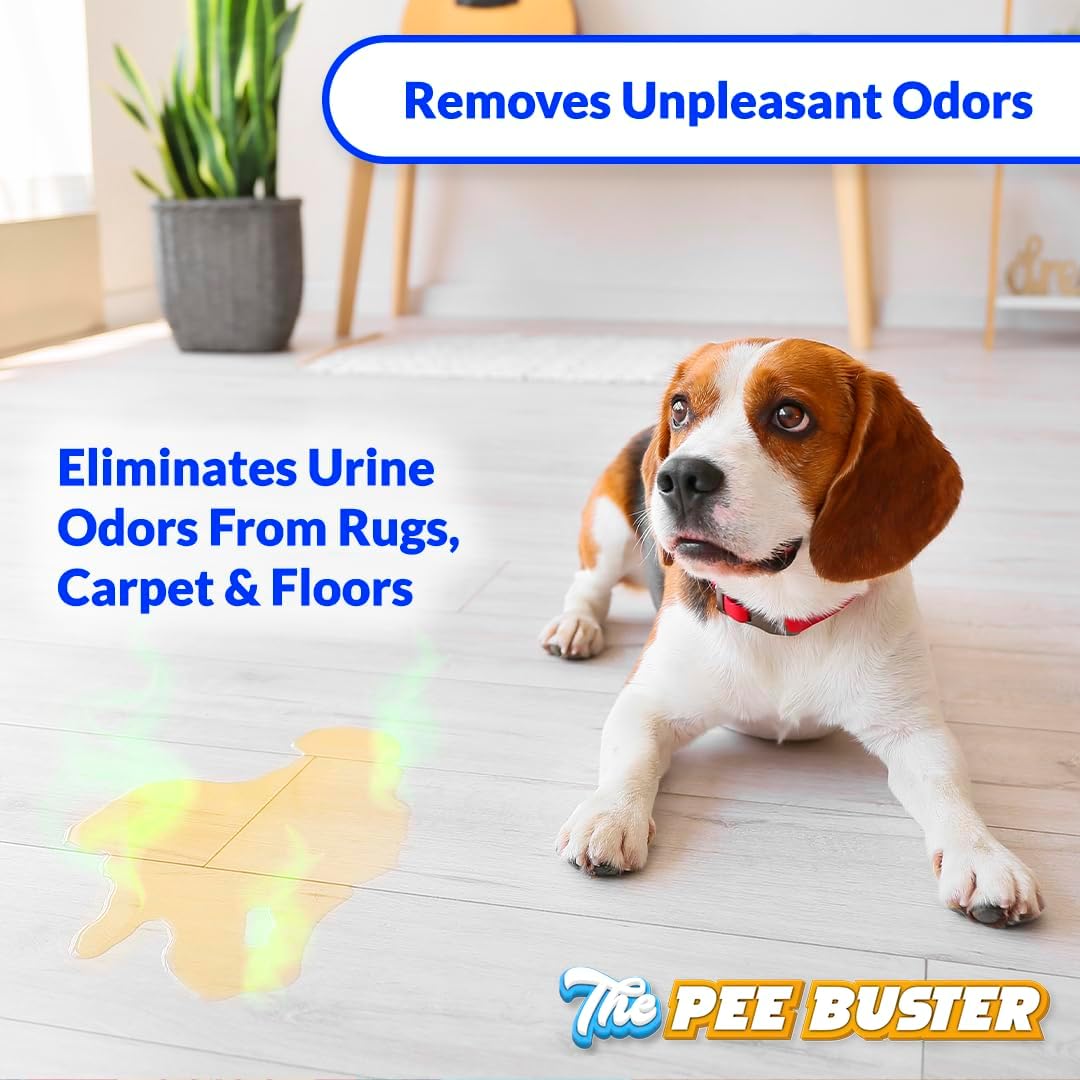 Before and after visualization of tile grout cleaned of pet stains