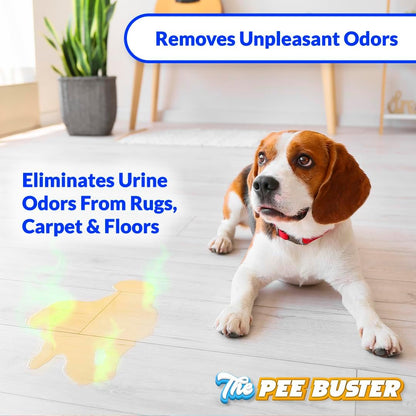 Before and after visualization of tile grout cleaned of pet stains