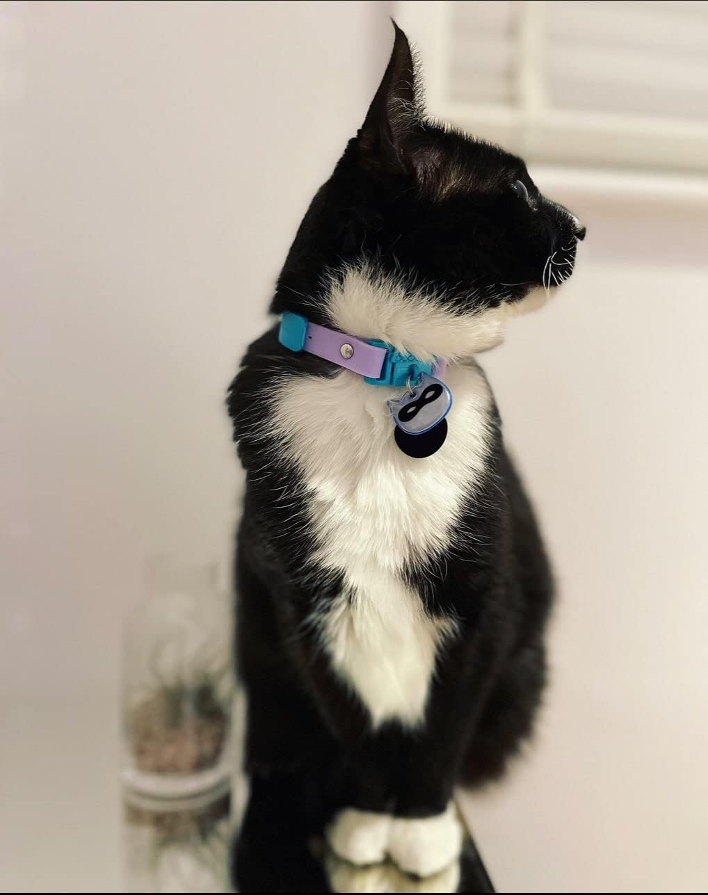 Side profile of lightweight silicone reflective cat charm