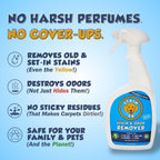 Using Stain Fu on a carpet rug for pet accidents