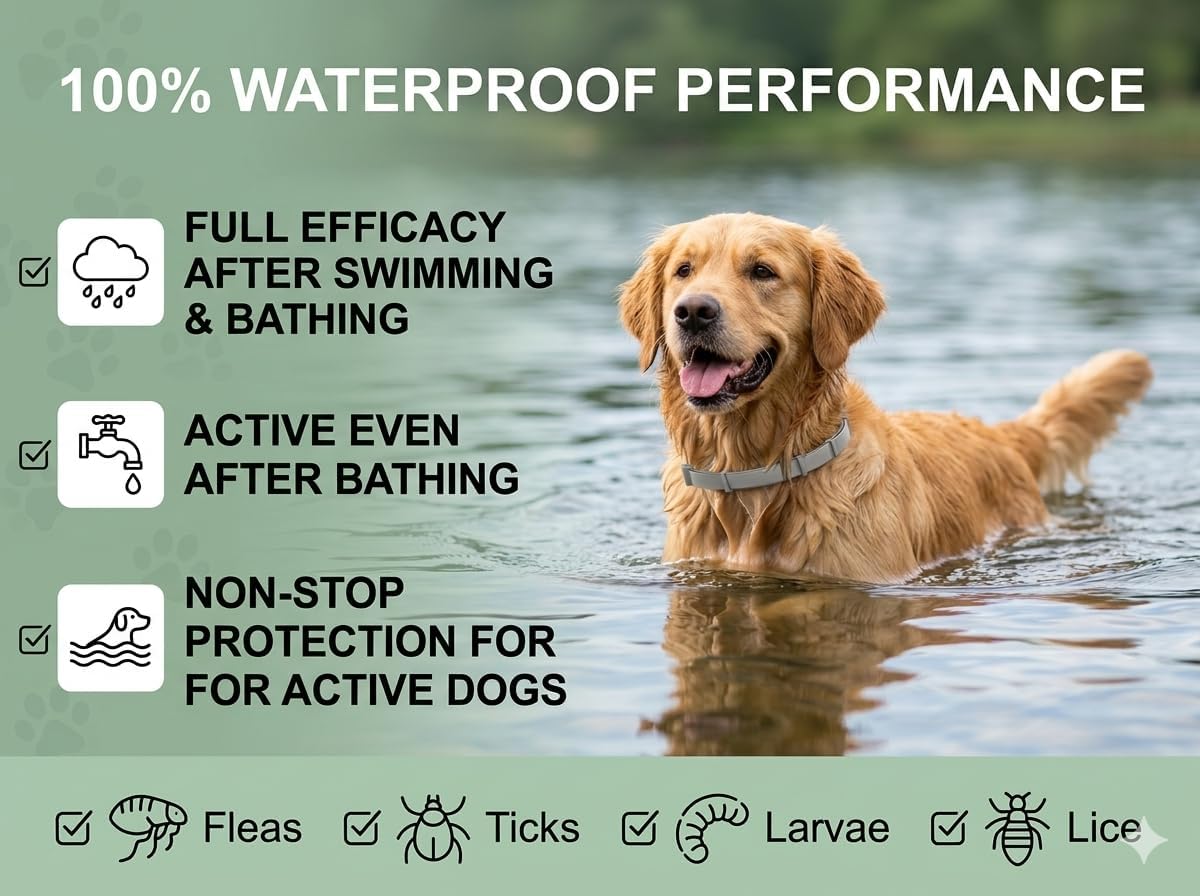 Waterproof flea and tick collar for dogs in grey