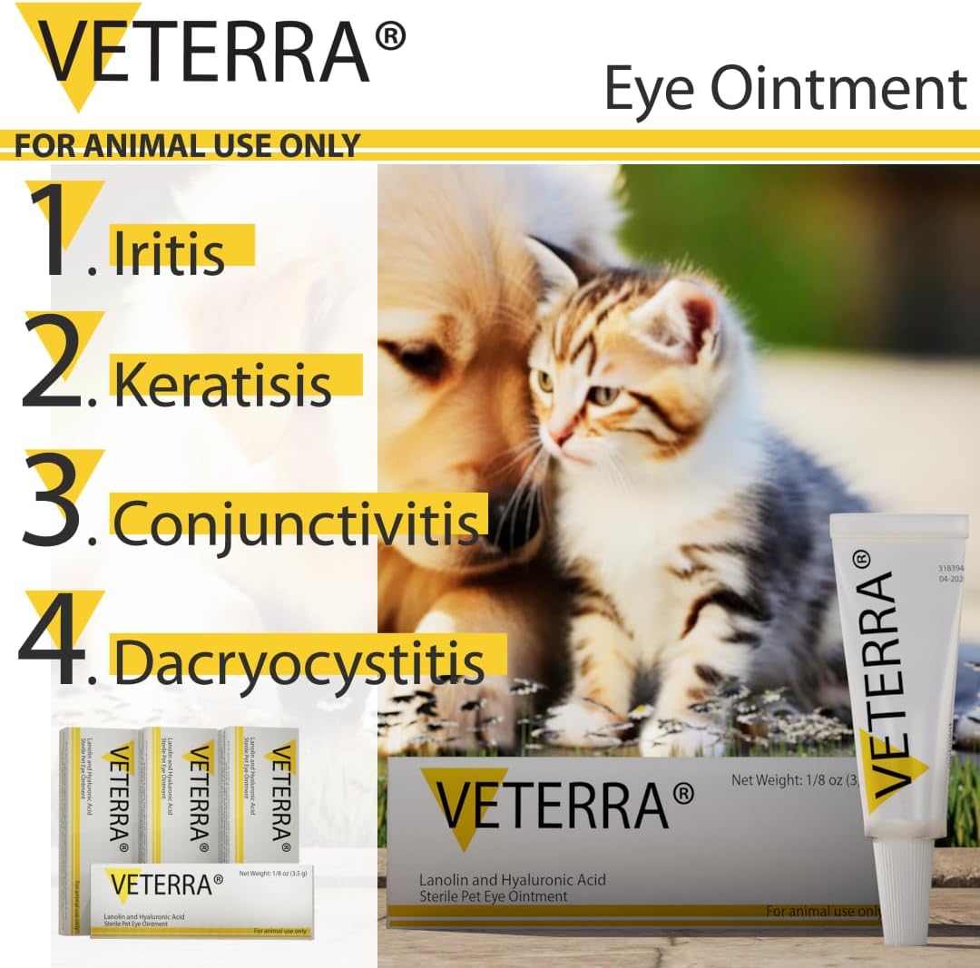 Applying Veterra eye cream to relieve pet conjunctivitis and pink eye.