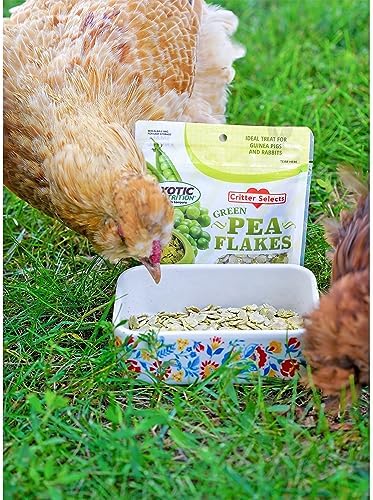 Exotic Nutrition green pea flakes bowl presentation for small pets