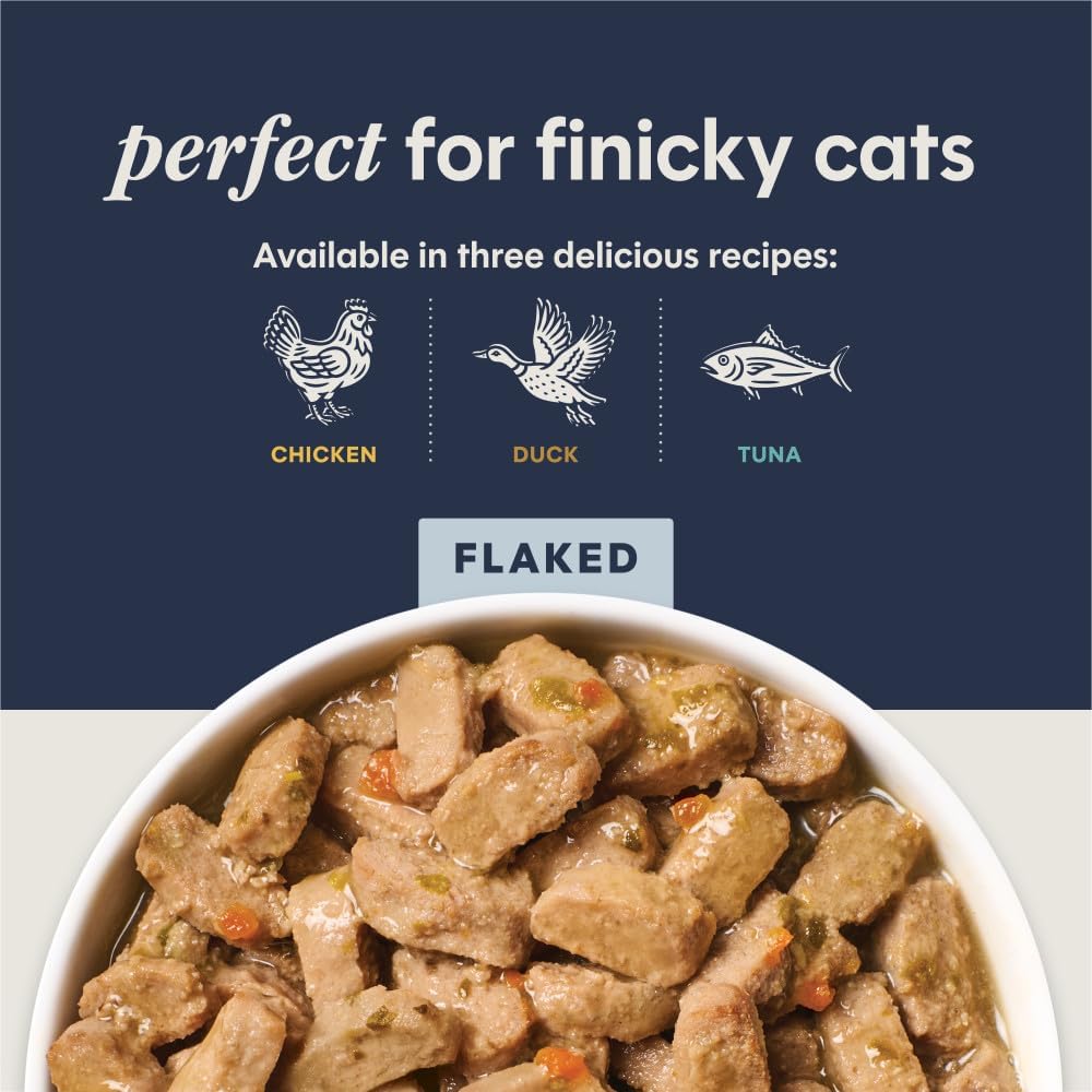 Cat eating Instinct split cup food from bowl