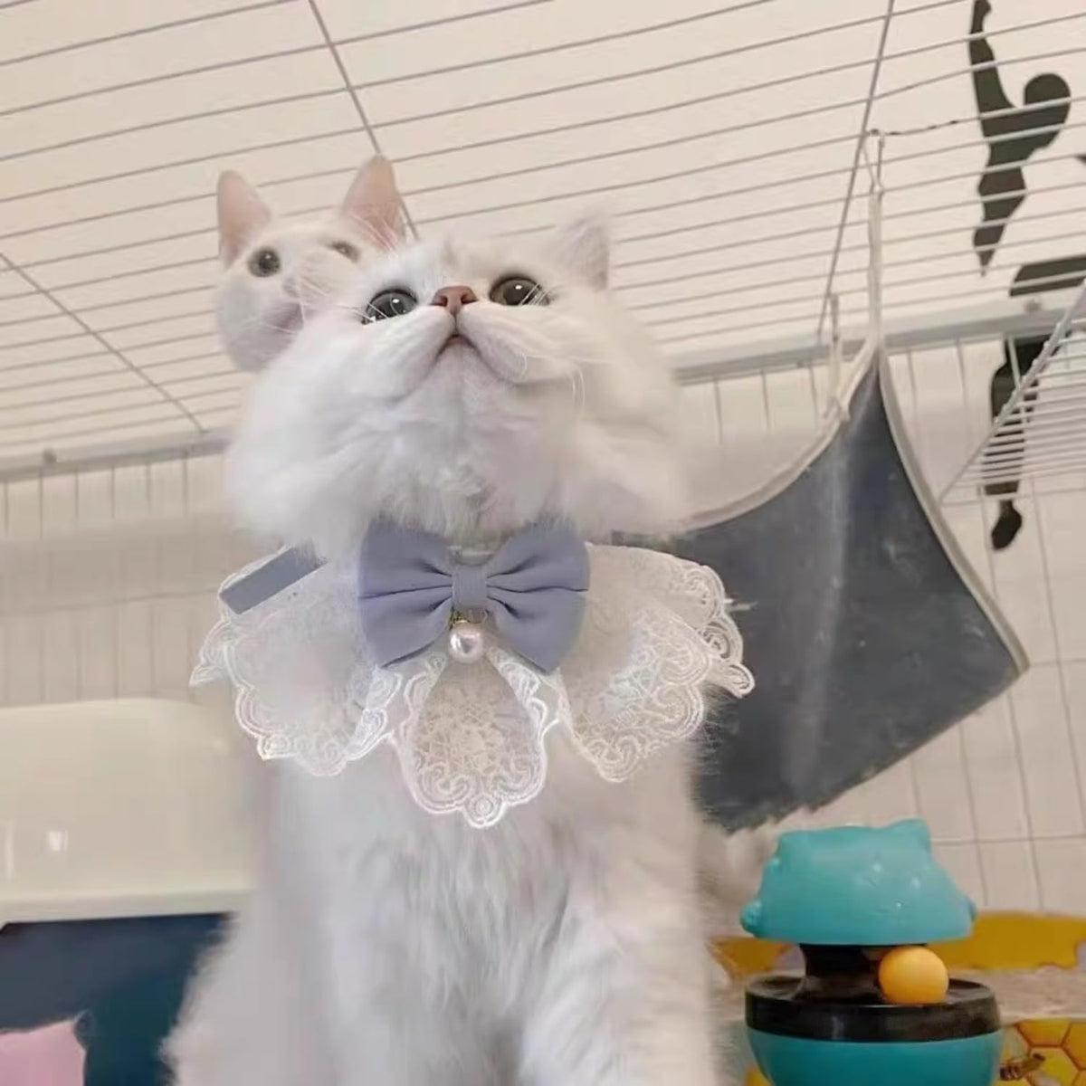 Cute Cat Bow Tie Floral Aesthetic Cats Bowtie Collar Kawaii Clothing Set Accessories for Indoor Outdoor Kitten (B,M) - Image 9