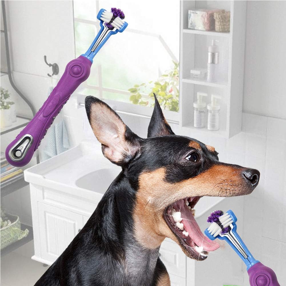 Close up of the triple headed bristle design on the Orgrimmar pet toothbrush