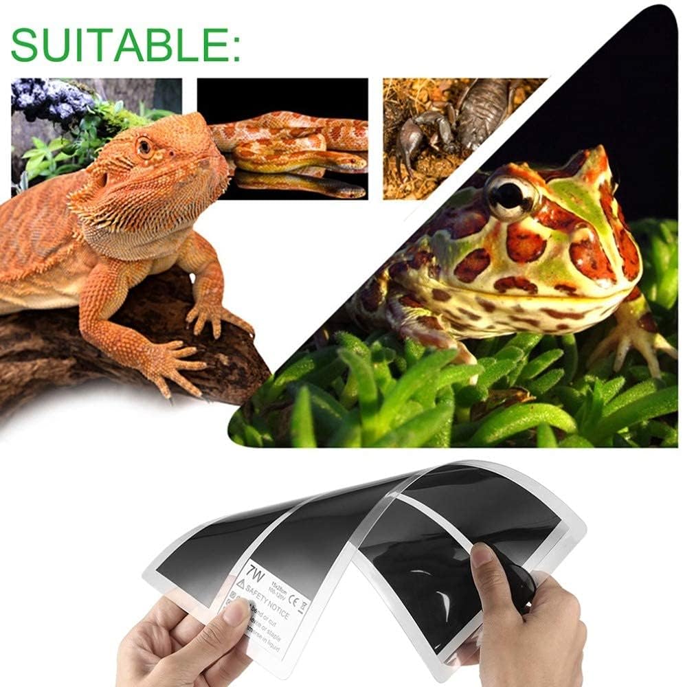Waterproof surface texture of the Abustle Pig reptile heating mat.