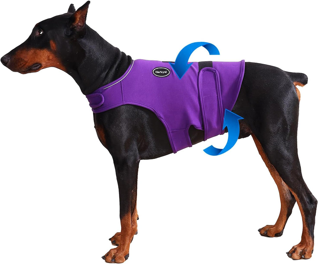 Dog wearing Harbyel anxiety vest during fireworks event