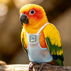 6pcs Bird Diaper Summer Mesh Parrot Flight Suit - S - Image 6