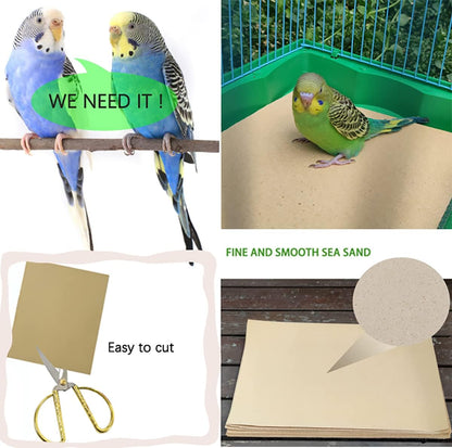 Using scissors to trim Firdnyohs bird cage gravel paper