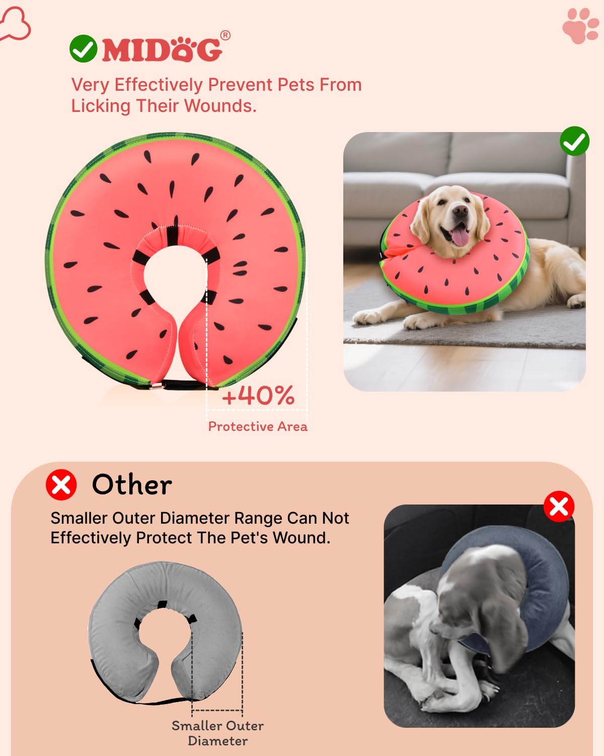 Dog wearing Midog soft recovery collar for surgery
