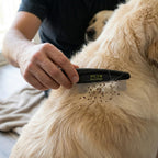 Pet Republique grooming tool held in hand for size reference