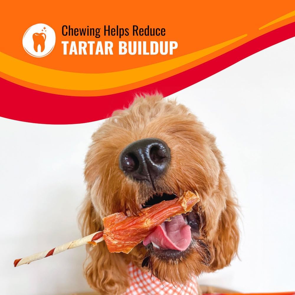 Good 'N' Fun long lasting dental treats for small dogs