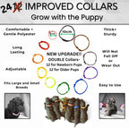 Sheffield SS Shop newborn puppy collars in twelve distinct colors for tracking litter growth.