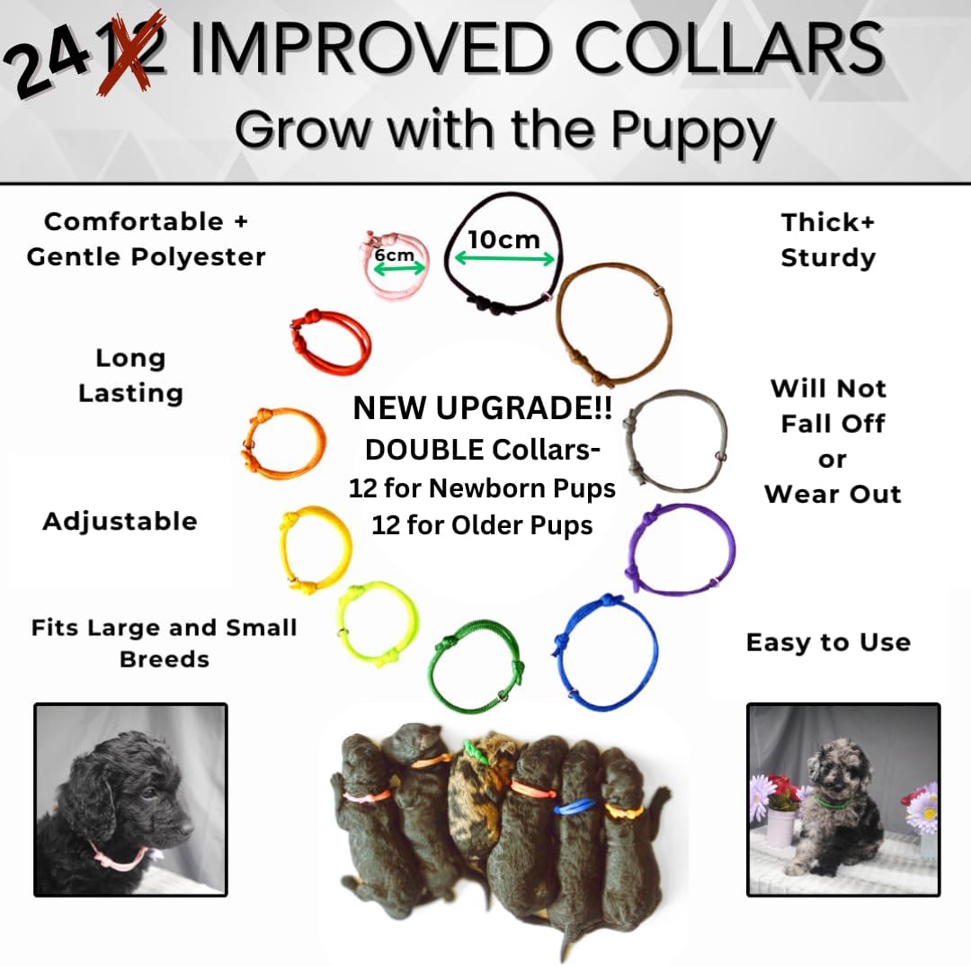 Sheffield SS Shop newborn puppy collars in twelve distinct colors for tracking litter growth.