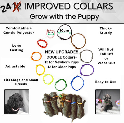 Sheffield SS Shop newborn puppy collars in twelve distinct colors for tracking litter growth.