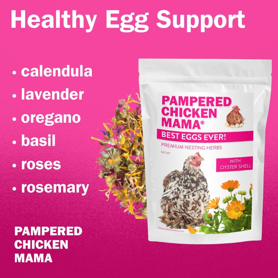 Backyard poultry maintenance herbs for cleaner egg nesting boxes