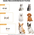 Luciphia machine washable fluffy puppy blanket inside a travel pet carrier