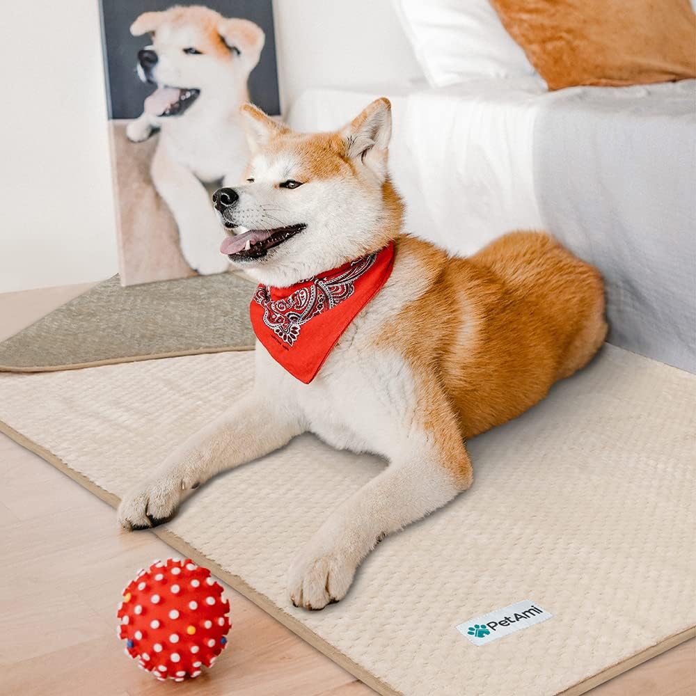 PetAmi extra large pet blanket protecting a car backseat from dirt and scratches.