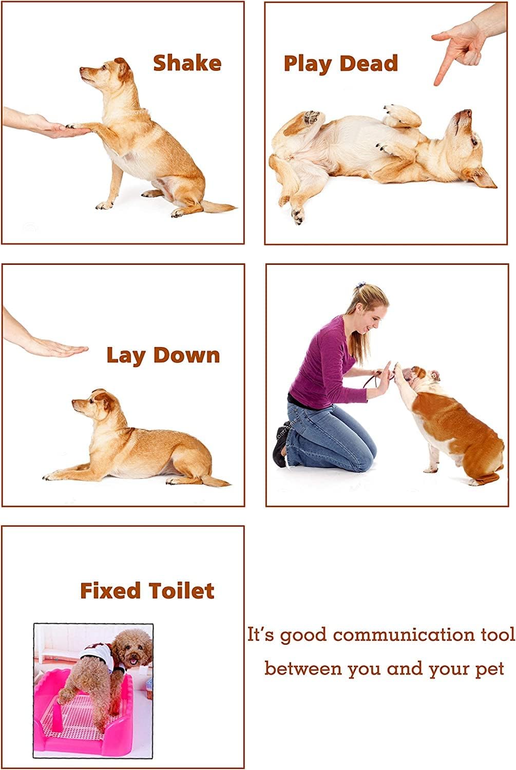 HoAoOo Imported Pet Training Clicker being used outdoors with wristband attached